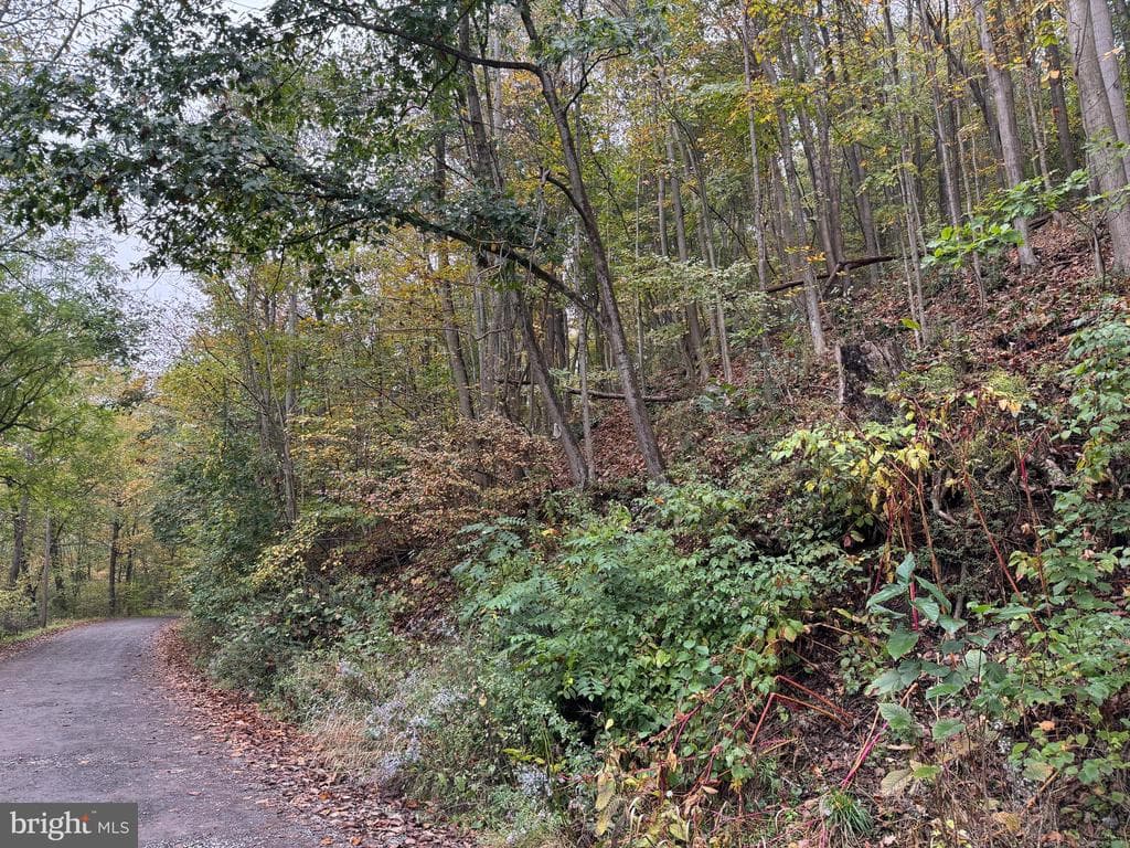 Property photo #44 for 170.2+/- Acres Coon Ridge Rd, Johnstown, PA 15901