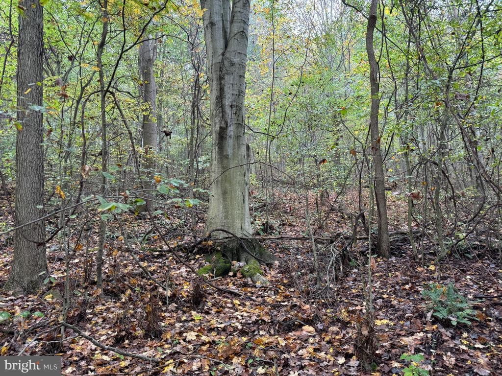 Property photo #45 for 170.2+/- Acres Coon Ridge Rd, Johnstown, PA 15901