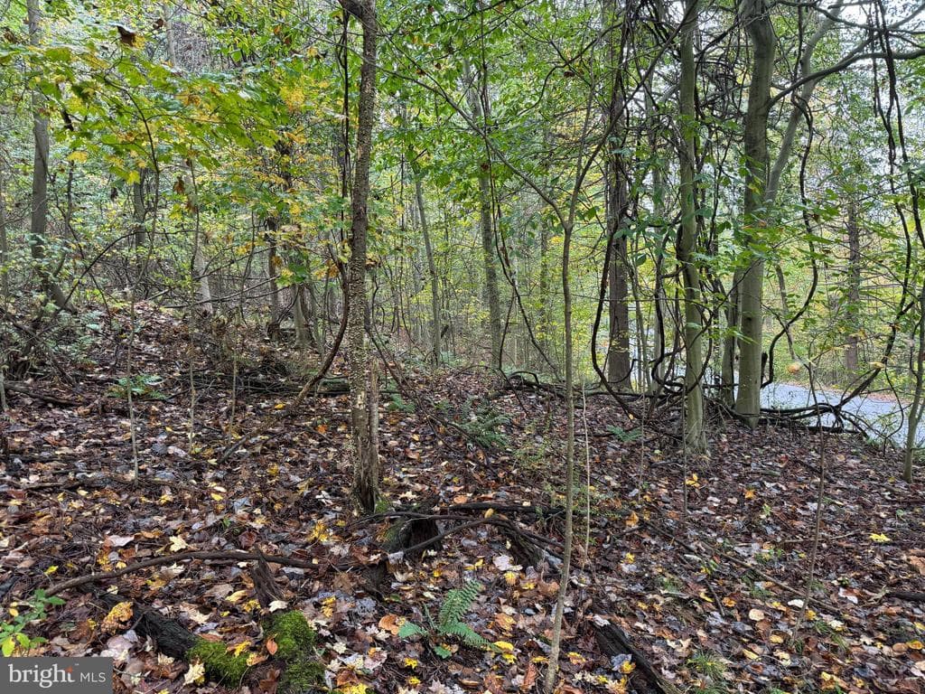 Property photo #46 for 170.2+/- Acres Coon Ridge Rd, Johnstown, PA 15901