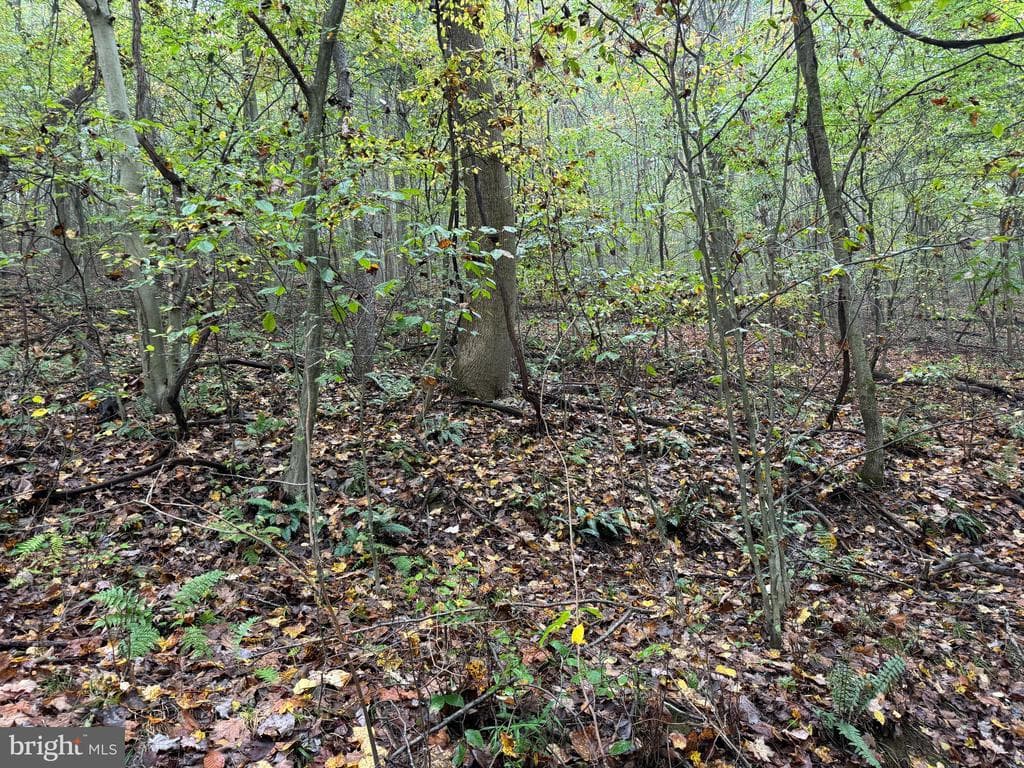 Property photo #47 for 170.2+/- Acres Coon Ridge Rd, Johnstown, PA 15901