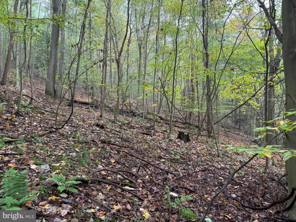Property photo #48 for 170.2+/- Acres Coon Ridge Rd, Johnstown, PA 15901