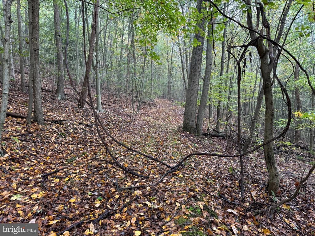 Property photo #49 for 170.2+/- Acres Coon Ridge Rd, Johnstown, PA 15901