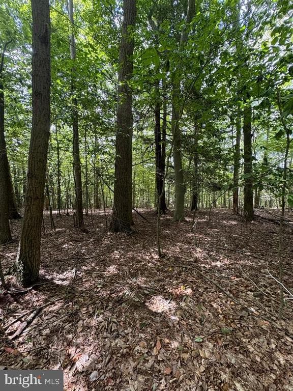 Property photo #5 for 170.2+/- Acres Coon Ridge Rd, Johnstown, PA 15901