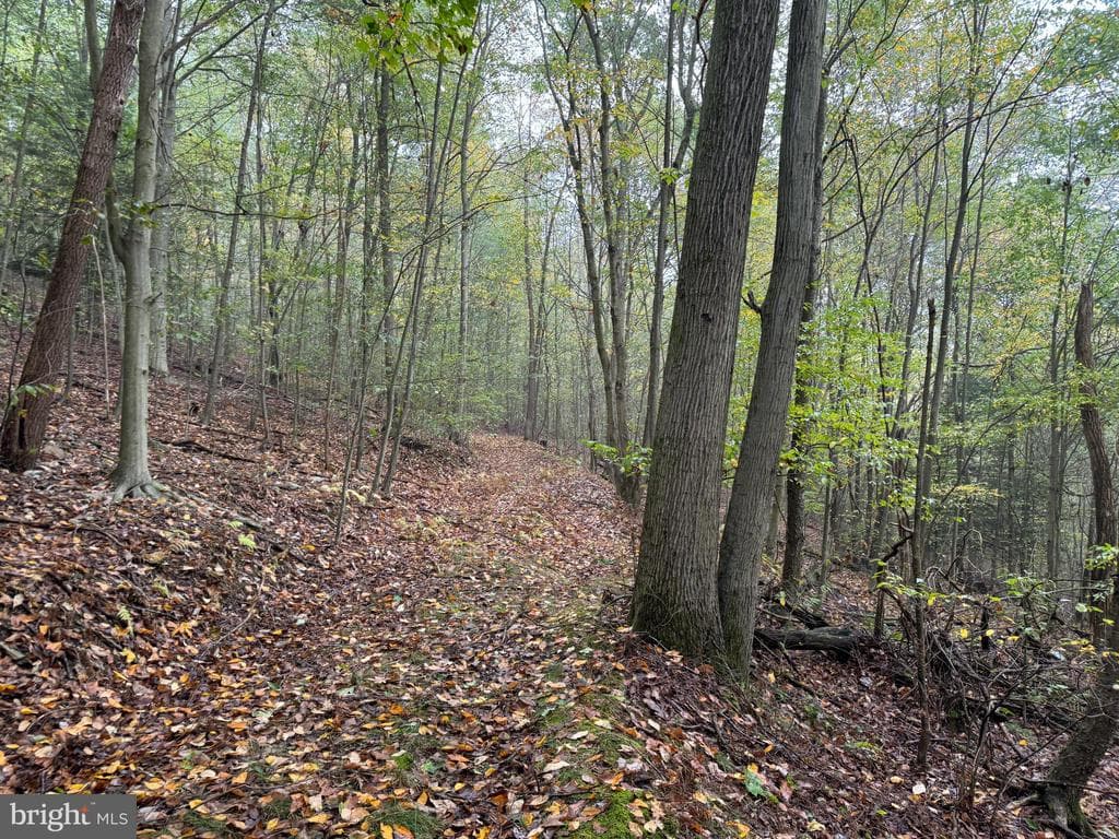 Property photo #50 for 170.2+/- Acres Coon Ridge Rd, Johnstown, PA 15901