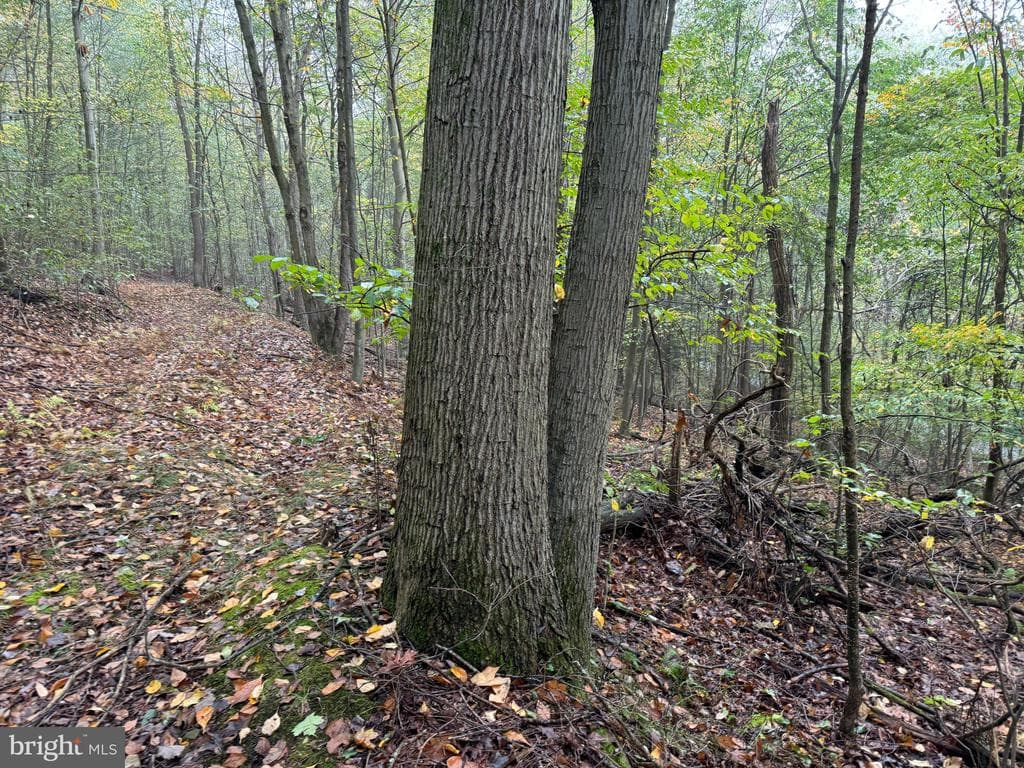 Property photo #51 for 170.2+/- Acres Coon Ridge Rd, Johnstown, PA 15901