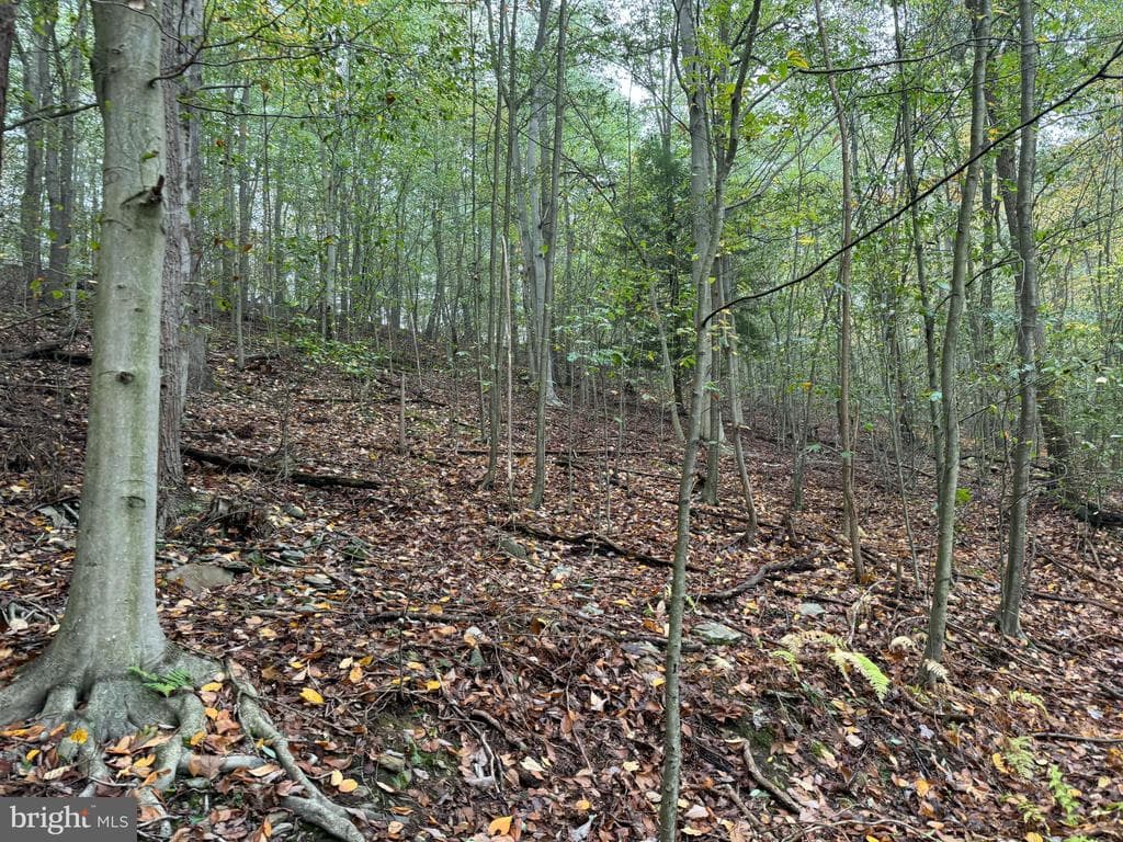 Property photo #52 for 170.2+/- Acres Coon Ridge Rd, Johnstown, PA 15901