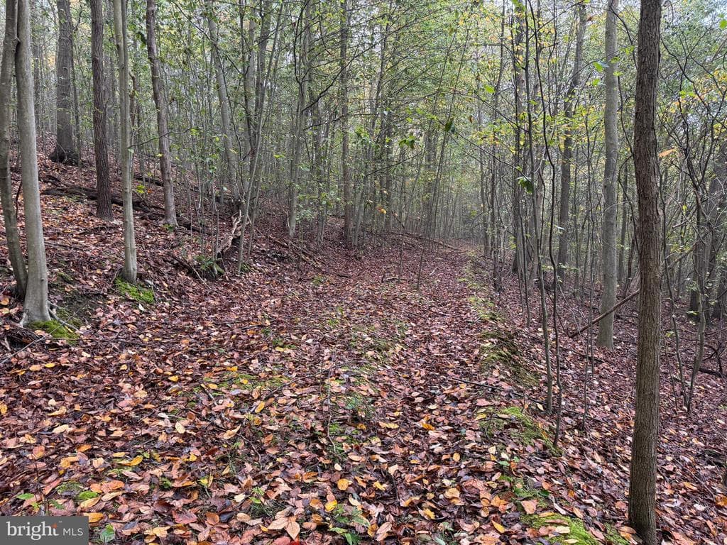 Property photo #54 for 170.2+/- Acres Coon Ridge Rd, Johnstown, PA 15901
