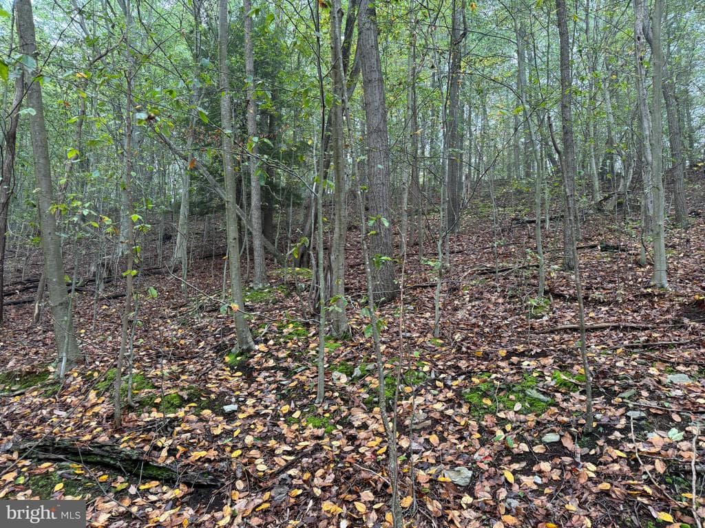 Property photo #55 for 170.2+/- Acres Coon Ridge Rd, Johnstown, PA 15901