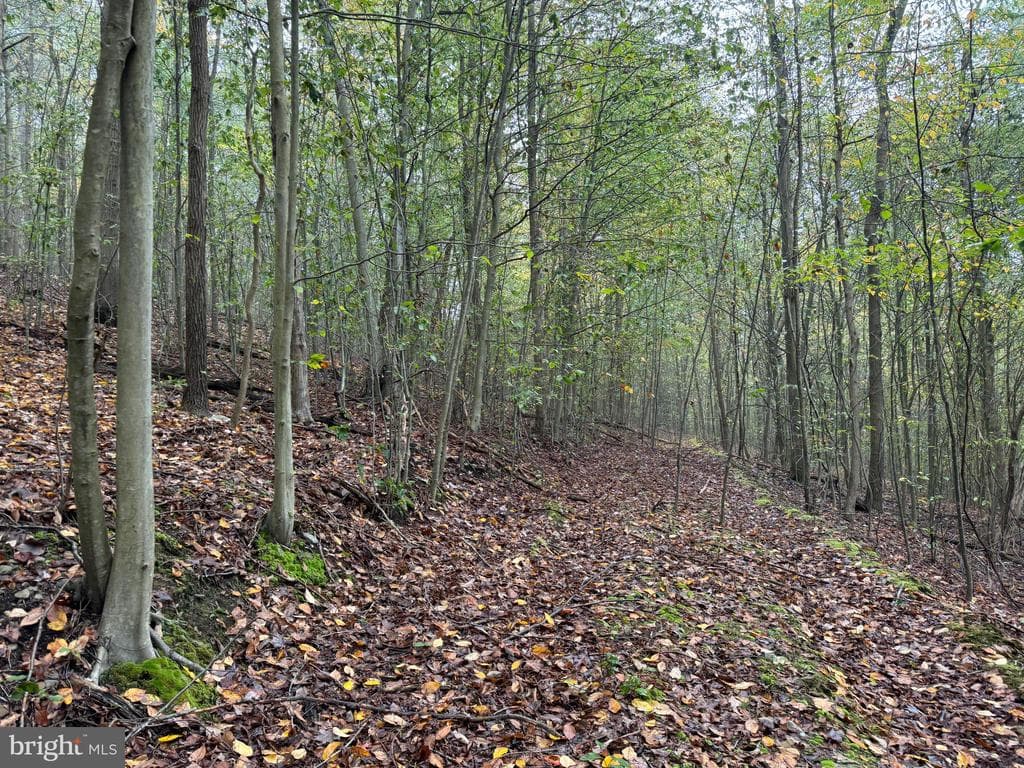 Property photo #56 for 170.2+/- Acres Coon Ridge Rd, Johnstown, PA 15901