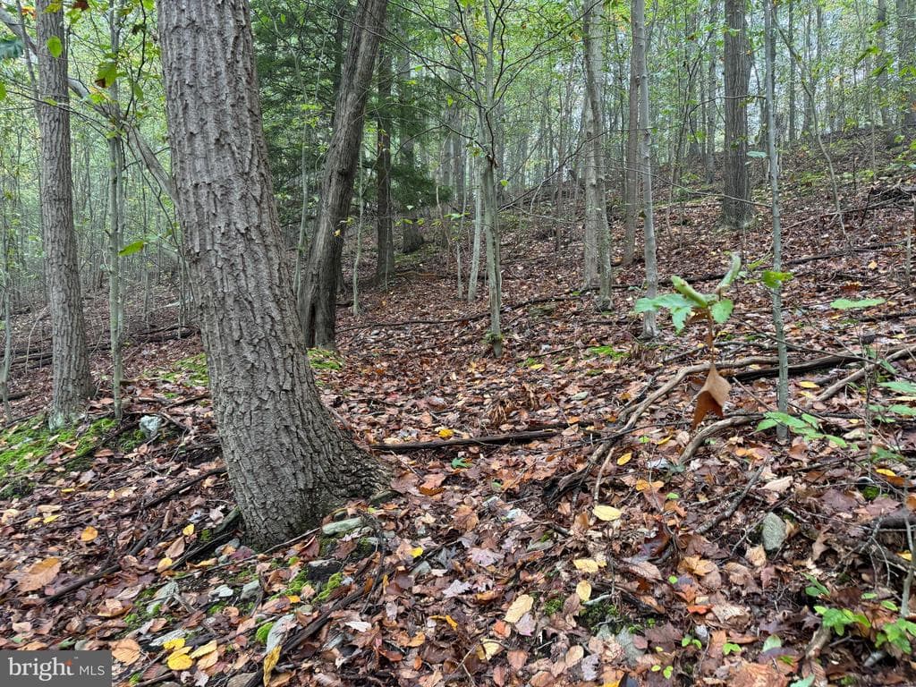Property photo #57 for 170.2+/- Acres Coon Ridge Rd, Johnstown, PA 15901