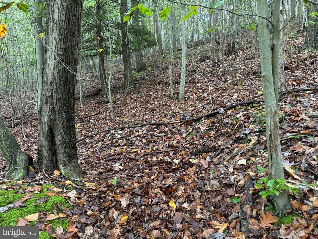 Property photo #58 for 170.2+/- Acres Coon Ridge Rd, Johnstown, PA 15901