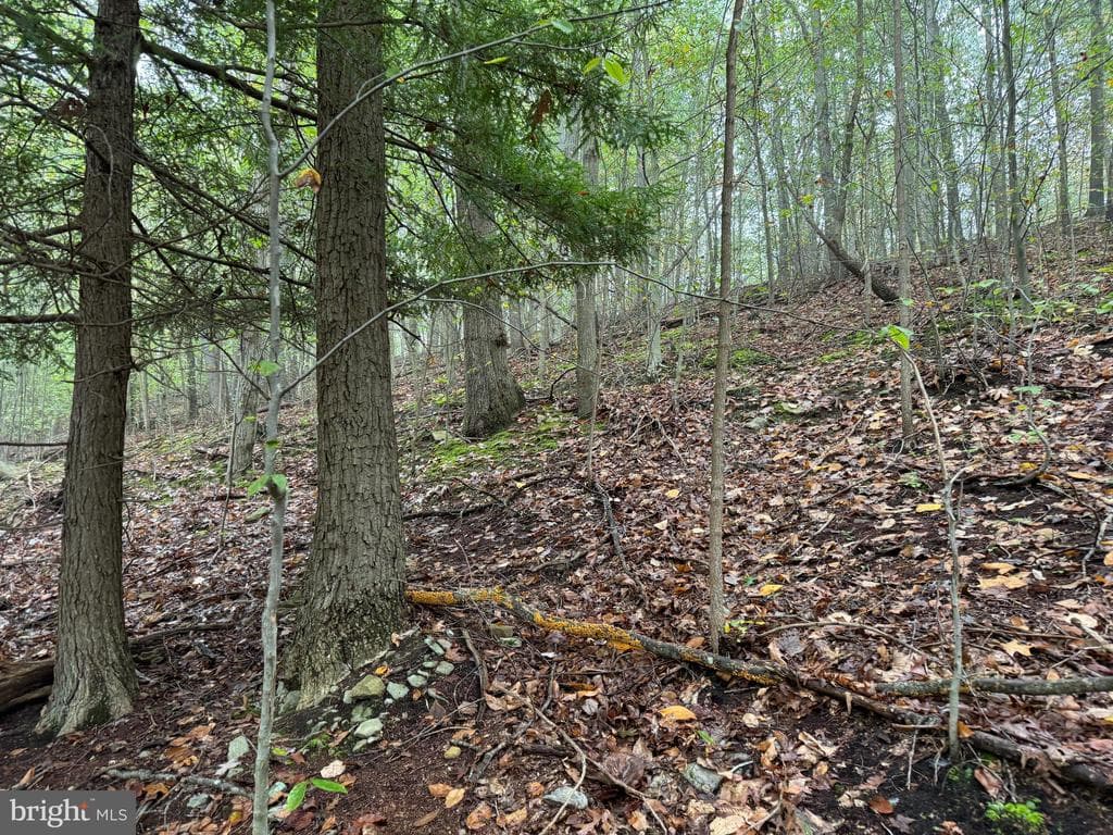 Property photo #59 for 170.2+/- Acres Coon Ridge Rd, Johnstown, PA 15901