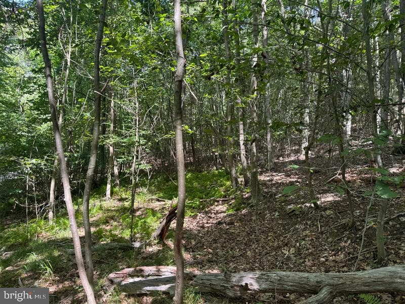 Property photo #6 for 170.2+/- Acres Coon Ridge Rd, Johnstown, PA 15901