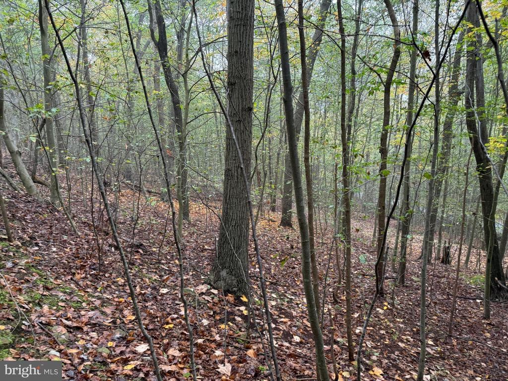 Property photo #60 for 170.2+/- Acres Coon Ridge Rd, Johnstown, PA 15901