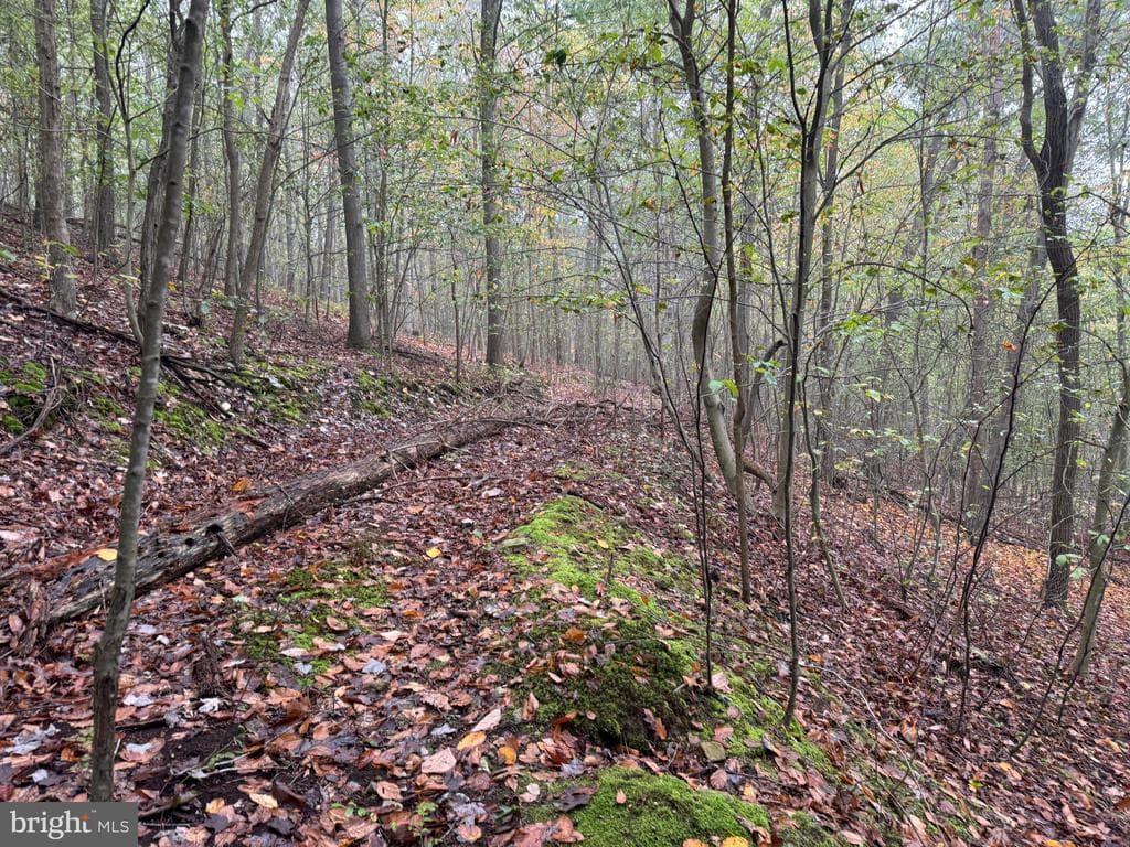 Property photo #61 for 170.2+/- Acres Coon Ridge Rd, Johnstown, PA 15901