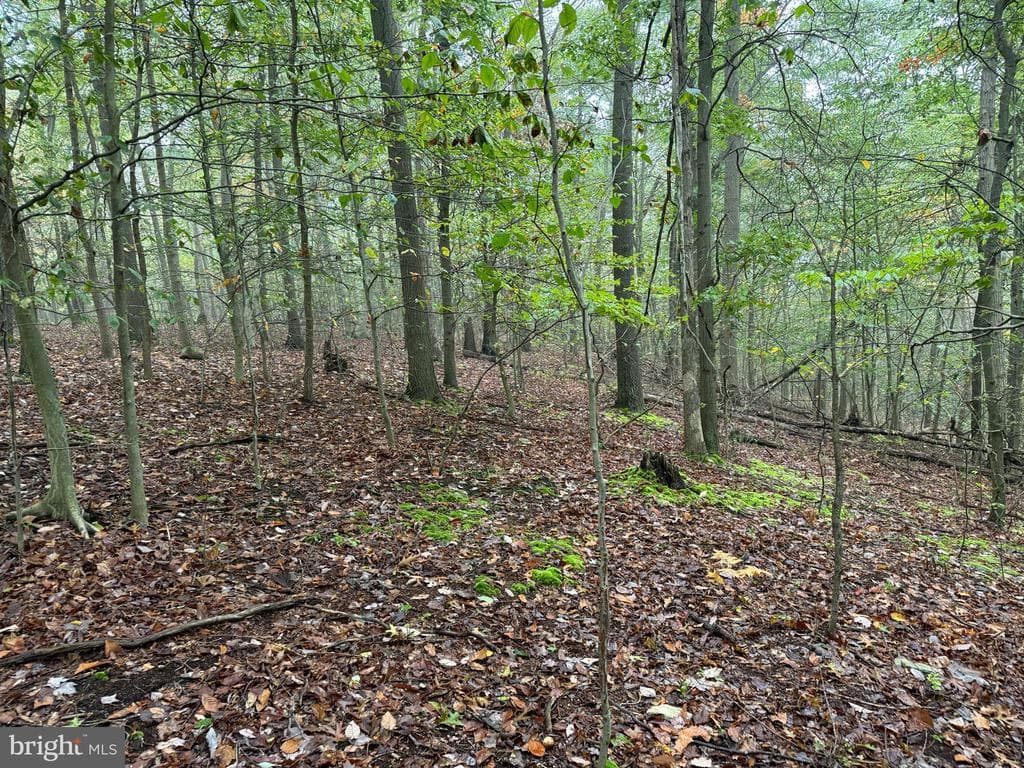 Property photo #63 for 170.2+/- Acres Coon Ridge Rd, Johnstown, PA 15901