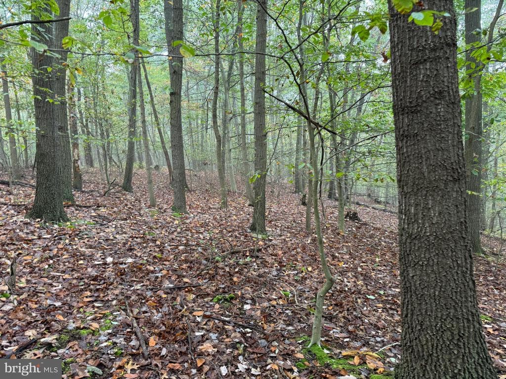 Property photo #64 for 170.2+/- Acres Coon Ridge Rd, Johnstown, PA 15901