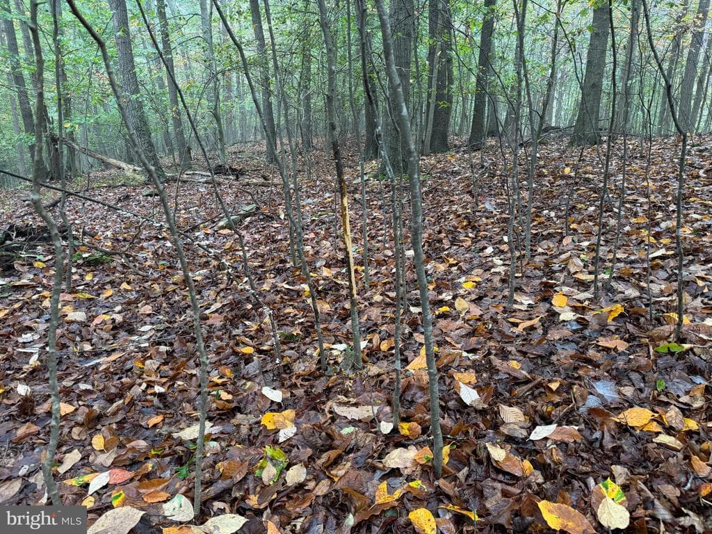 Property photo #65 for 170.2+/- Acres Coon Ridge Rd, Johnstown, PA 15901