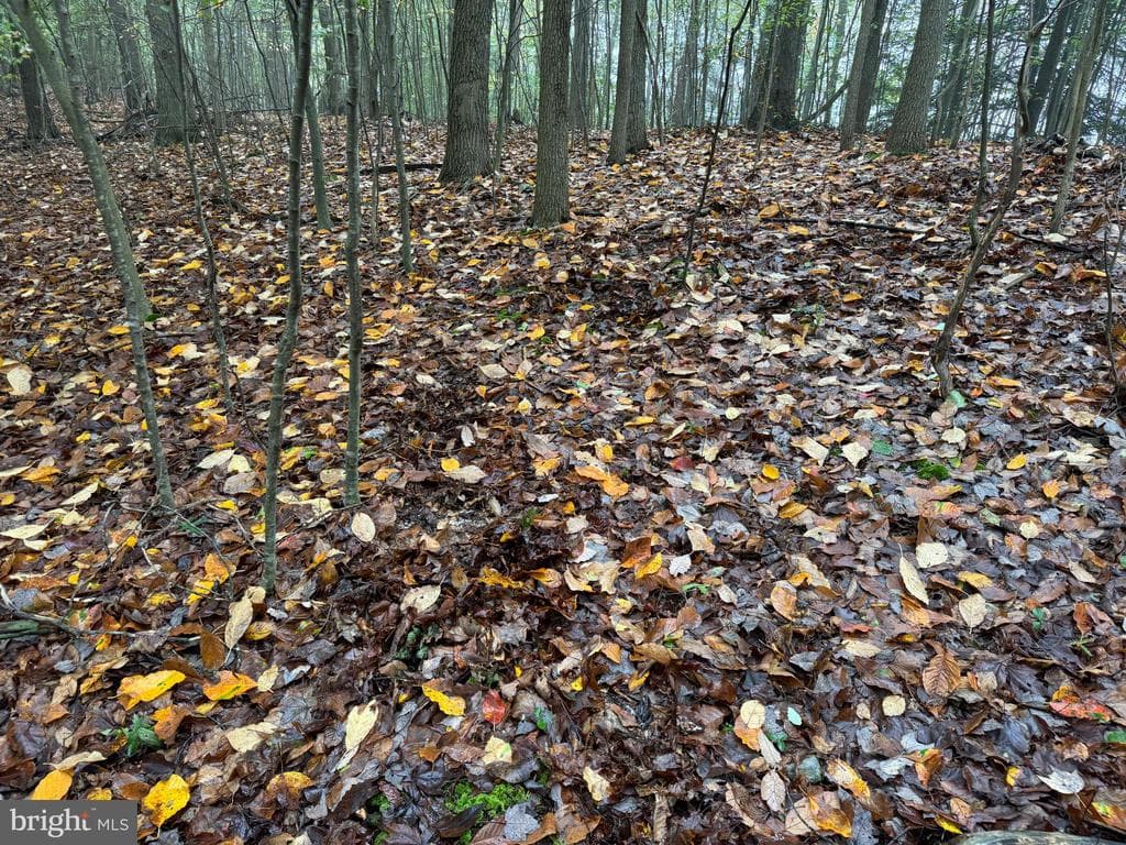 Property photo #66 for 170.2+/- Acres Coon Ridge Rd, Johnstown, PA 15901