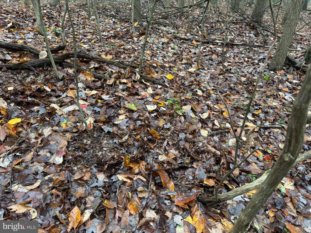 Property photo #67 for 170.2+/- Acres Coon Ridge Rd, Johnstown, PA 15901