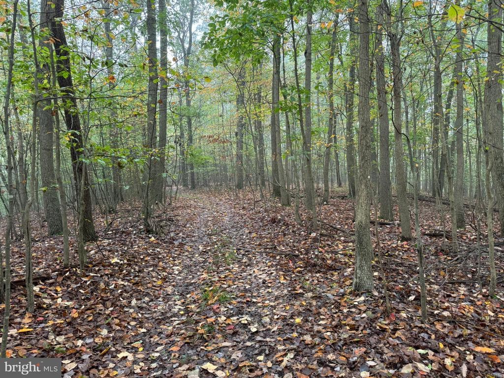 Property photo #68 for 170.2+/- Acres Coon Ridge Rd, Johnstown, PA 15901