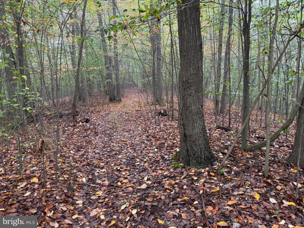 Property photo #69 for 170.2+/- Acres Coon Ridge Rd, Johnstown, PA 15901