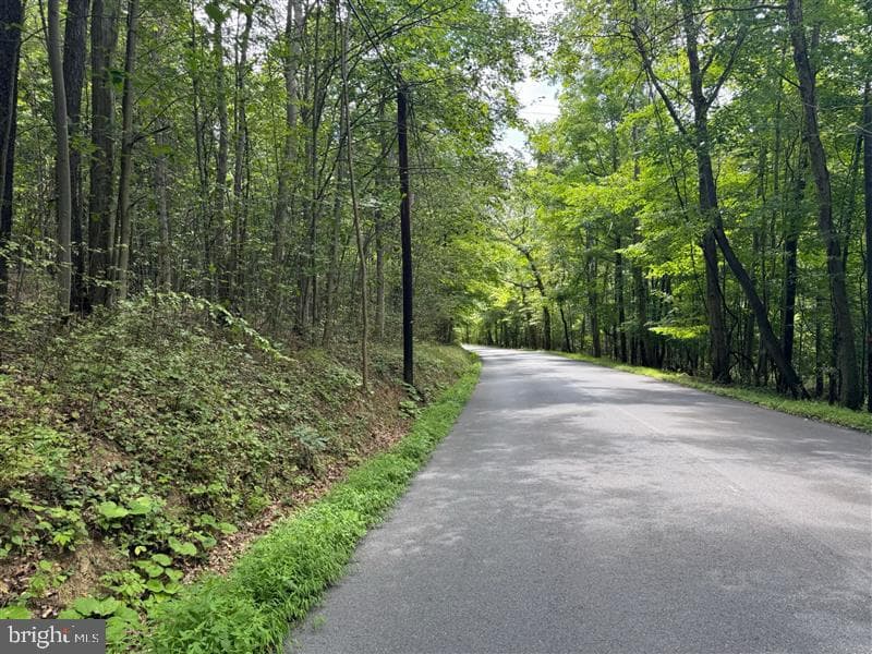 Property photo #7 for 170.2+/- Acres Coon Ridge Rd, Johnstown, PA 15901