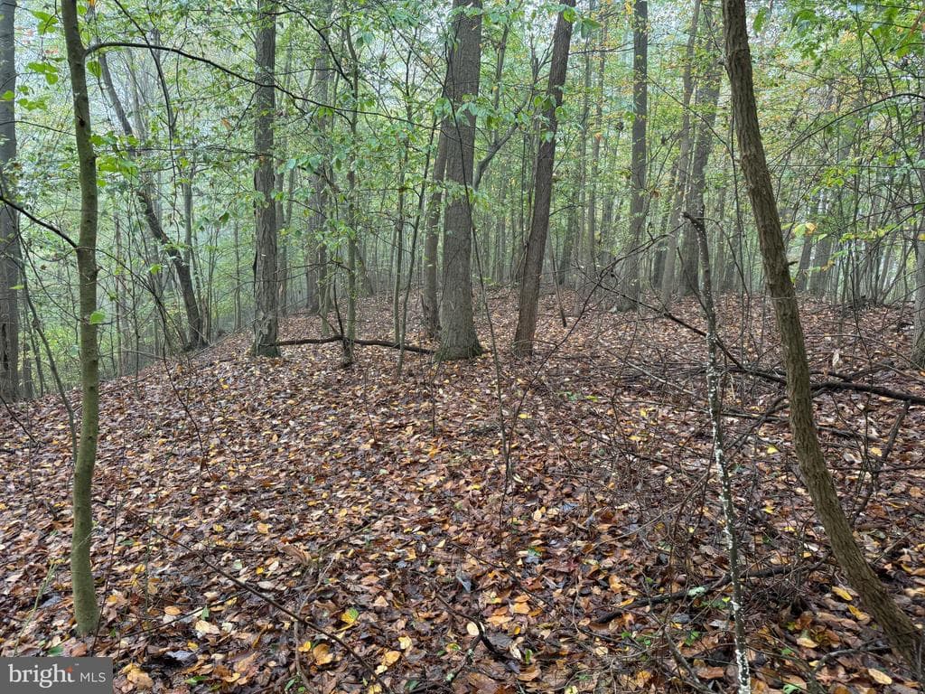 Property photo #70 for 170.2+/- Acres Coon Ridge Rd, Johnstown, PA 15901