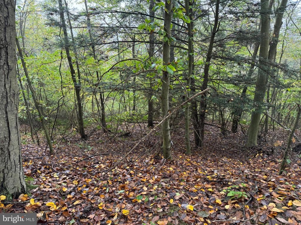 Property photo #71 for 170.2+/- Acres Coon Ridge Rd, Johnstown, PA 15901