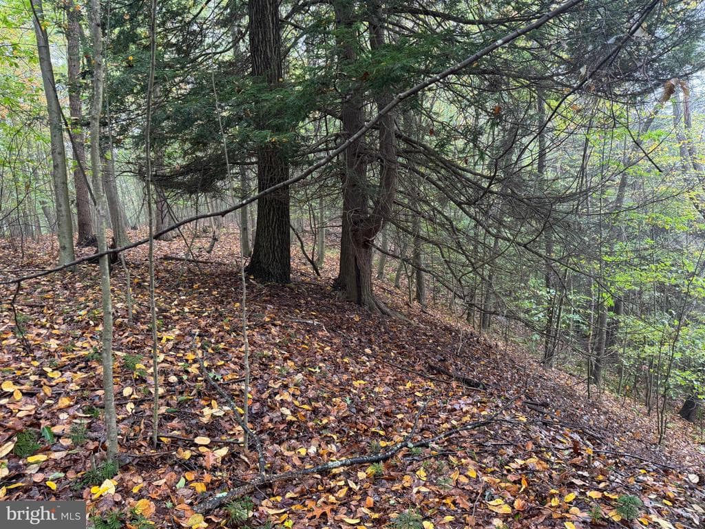 Property photo #72 for 170.2+/- Acres Coon Ridge Rd, Johnstown, PA 15901