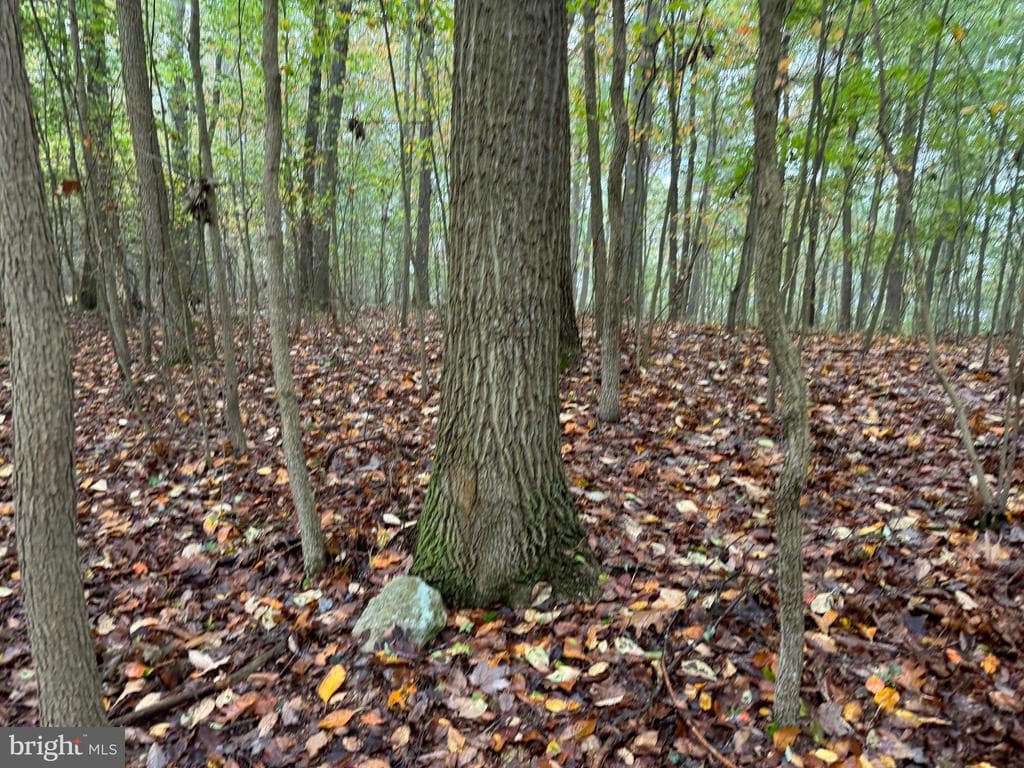 Property photo #73 for 170.2+/- Acres Coon Ridge Rd, Johnstown, PA 15901