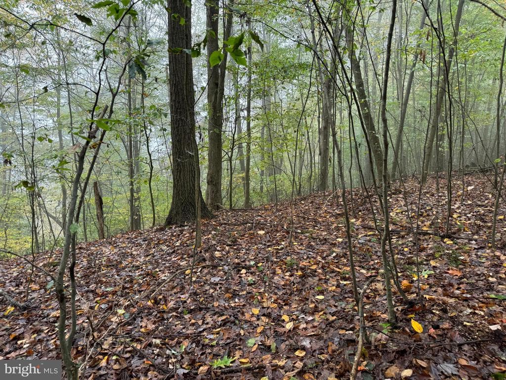 Property photo #74 for 170.2+/- Acres Coon Ridge Rd, Johnstown, PA 15901