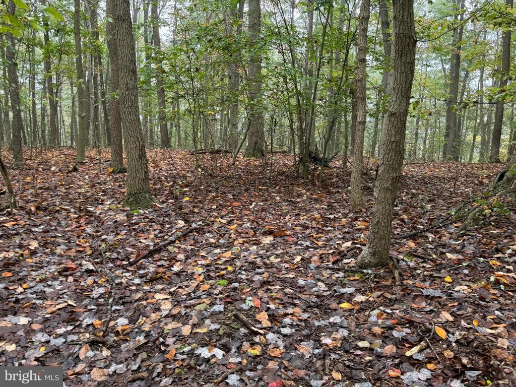 Property photo #77 for 170.2+/- Acres Coon Ridge Rd, Johnstown, PA 15901