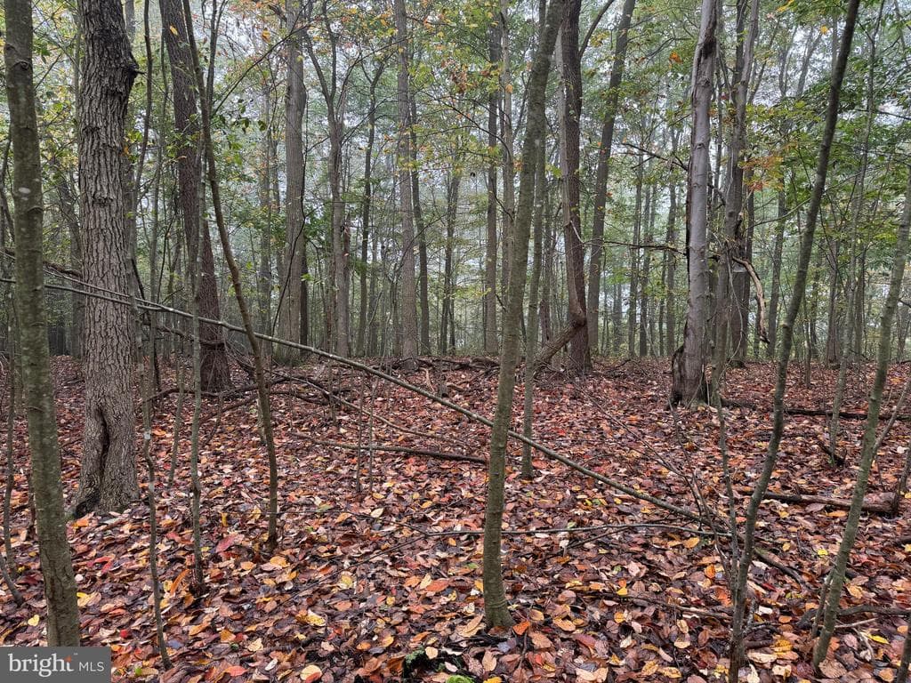 Property photo #79 for 170.2+/- Acres Coon Ridge Rd, Johnstown, PA 15901