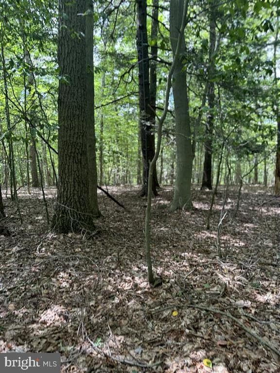 Property photo #8 for 170.2+/- Acres Coon Ridge Rd, Johnstown, PA 15901