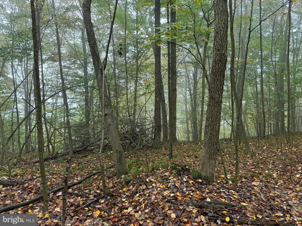 Property photo #80 for 170.2+/- Acres Coon Ridge Rd, Johnstown, PA 15901