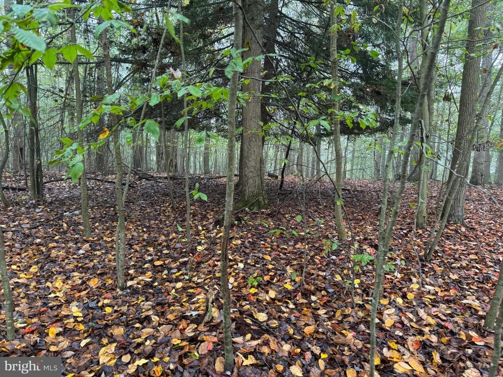 Property photo #82 for 170.2+/- Acres Coon Ridge Rd, Johnstown, PA 15901