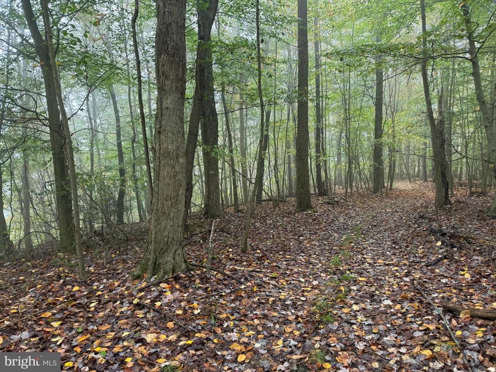 Property photo #83 for 170.2+/- Acres Coon Ridge Rd, Johnstown, PA 15901