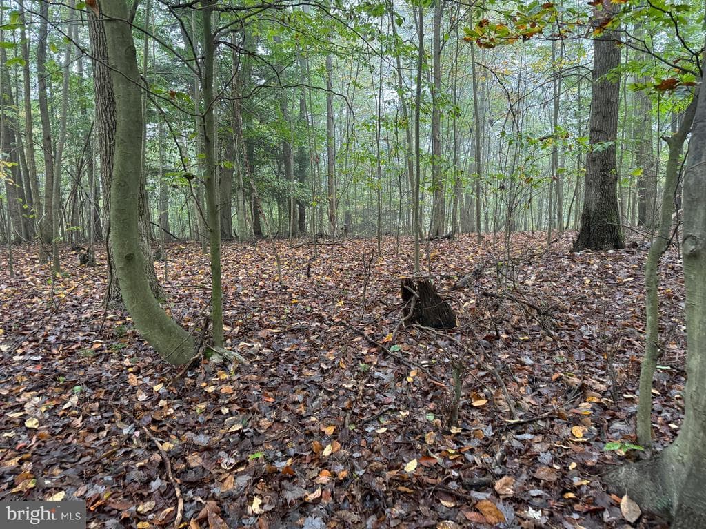 Property photo #84 for 170.2+/- Acres Coon Ridge Rd, Johnstown, PA 15901