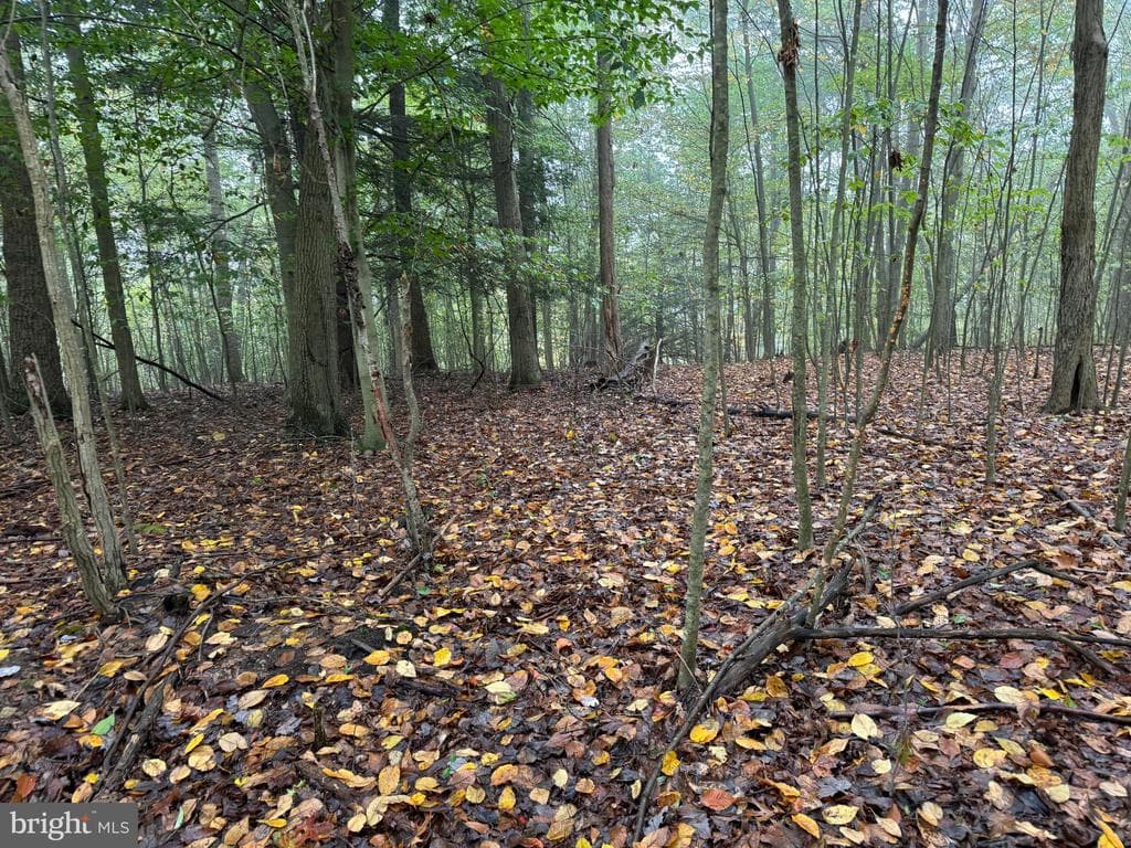 Property photo #85 for 170.2+/- Acres Coon Ridge Rd, Johnstown, PA 15901