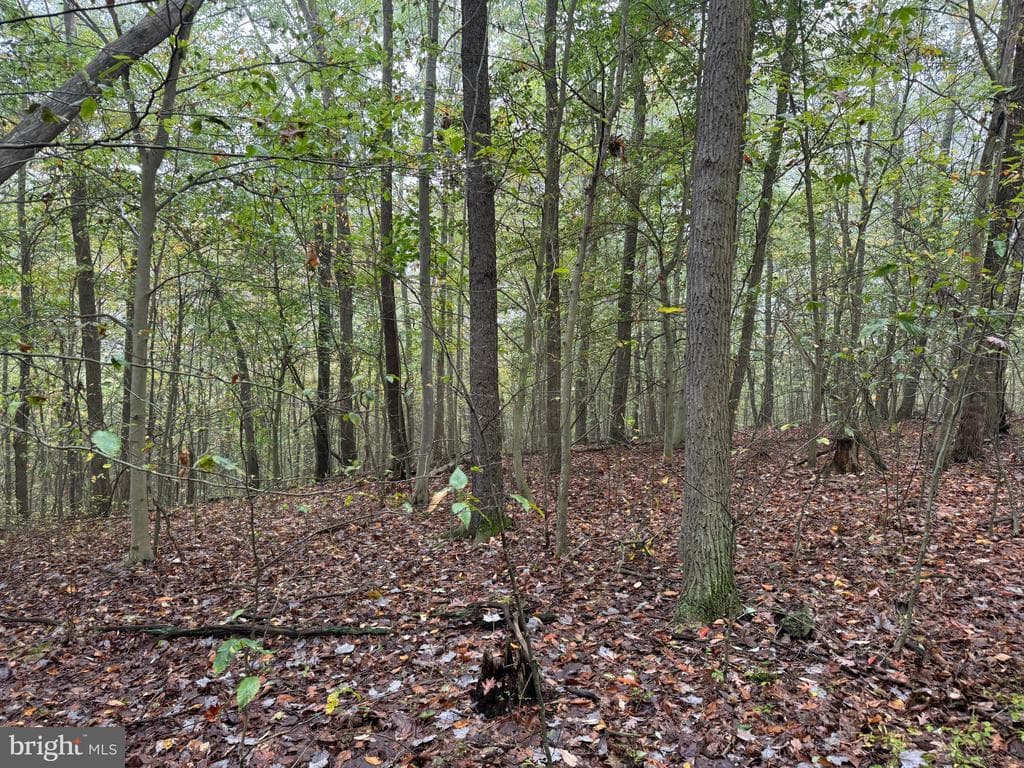 Property photo #87 for 170.2+/- Acres Coon Ridge Rd, Johnstown, PA 15901