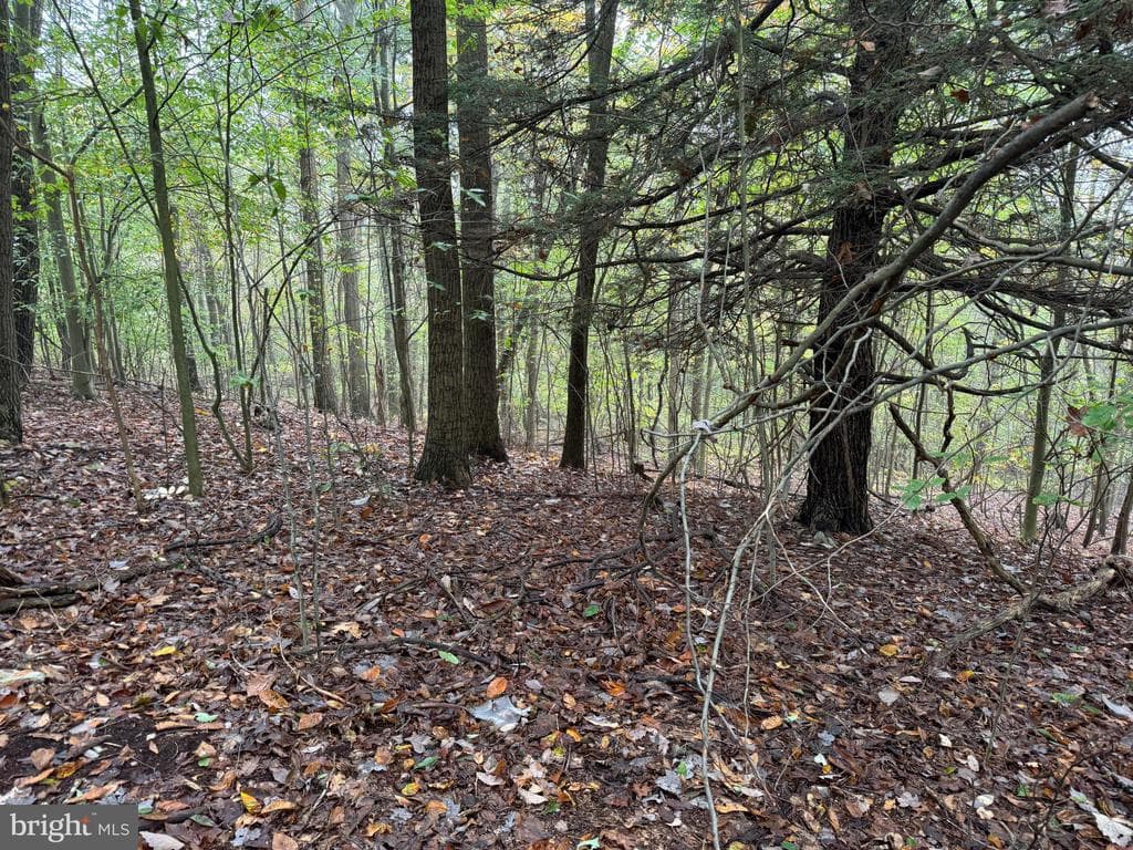 Property photo #89 for 170.2+/- Acres Coon Ridge Rd, Johnstown, PA 15901