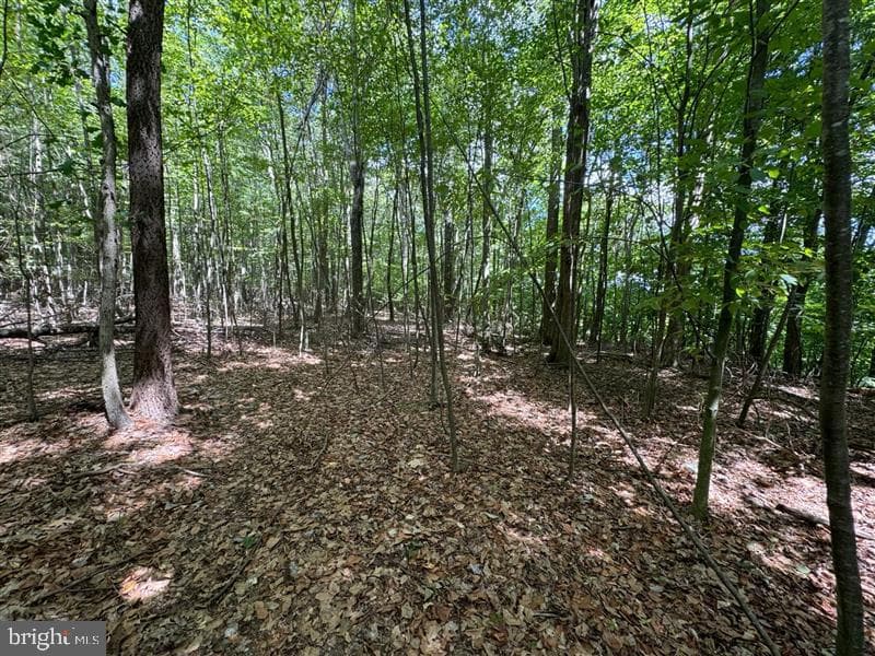 Property photo #9 for 170.2+/- Acres Coon Ridge Rd, Johnstown, PA 15901