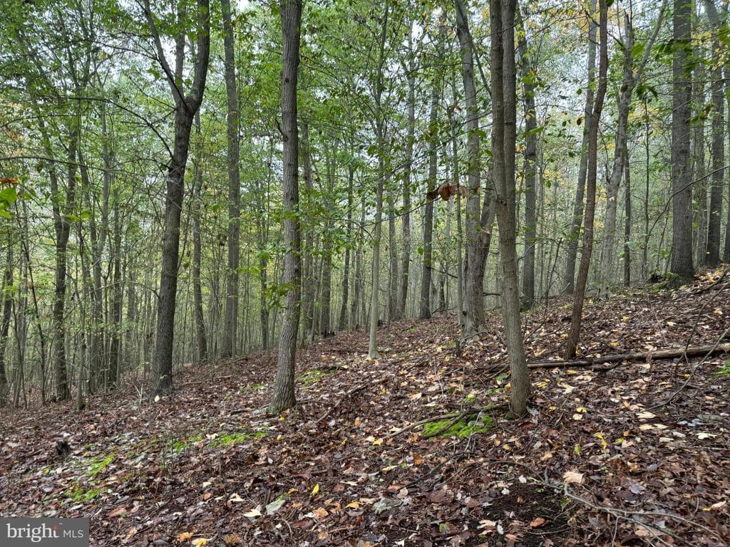 Property photo #90 for 170.2+/- Acres Coon Ridge Rd, Johnstown, PA 15901