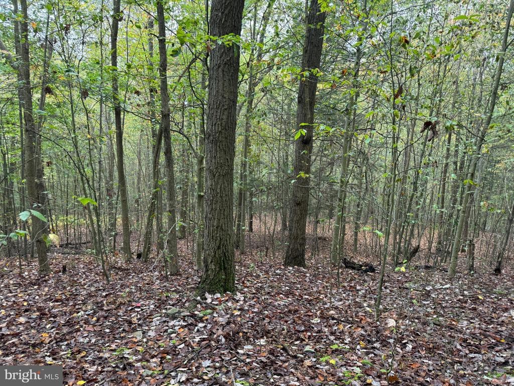 Property photo #91 for 170.2+/- Acres Coon Ridge Rd, Johnstown, PA 15901