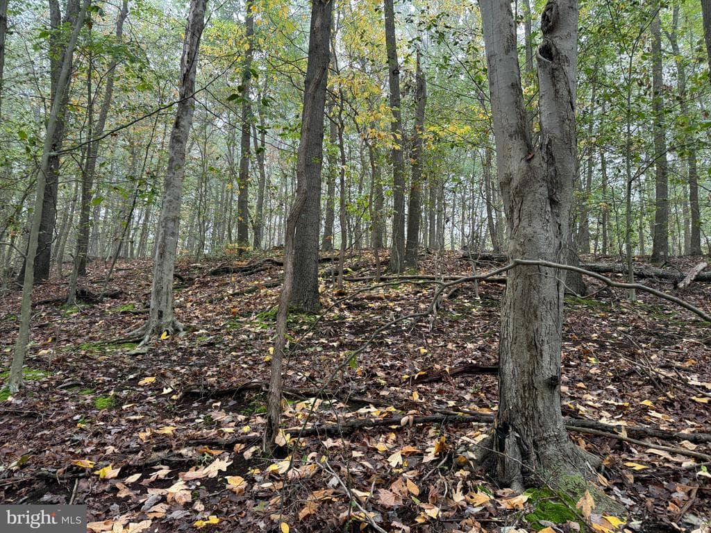 Property photo #92 for 170.2+/- Acres Coon Ridge Rd, Johnstown, PA 15901