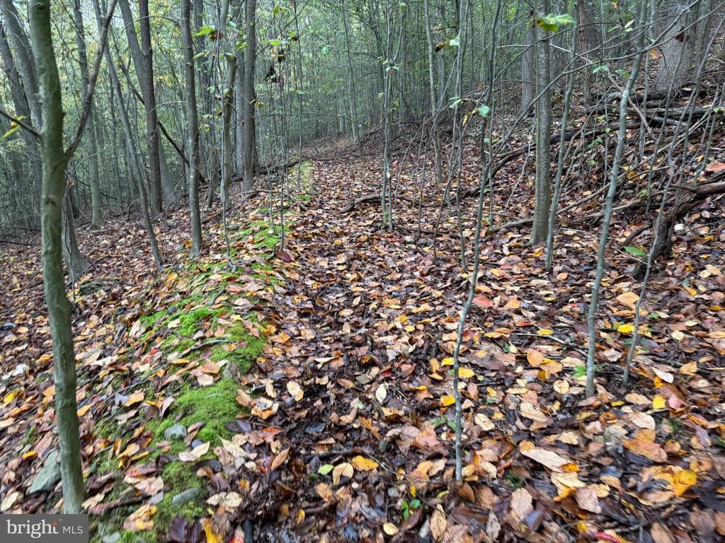 Property photo #94 for 170.2+/- Acres Coon Ridge Rd, Johnstown, PA 15901
