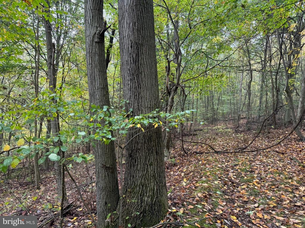 Property photo #95 for 170.2+/- Acres Coon Ridge Rd, Johnstown, PA 15901