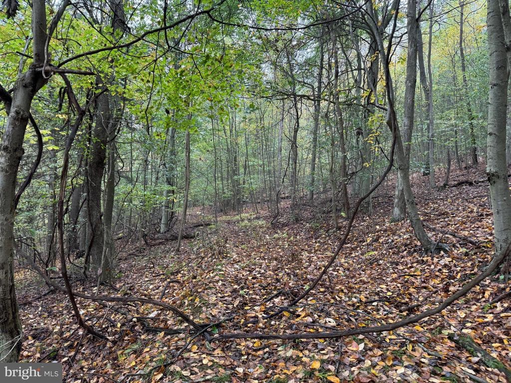 Property photo #96 for 170.2+/- Acres Coon Ridge Rd, Johnstown, PA 15901