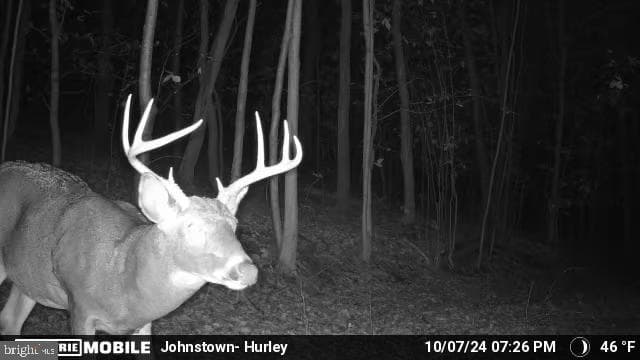 Property photo #99 for 170.2+/- Acres Coon Ridge Rd, Johnstown, PA 15901